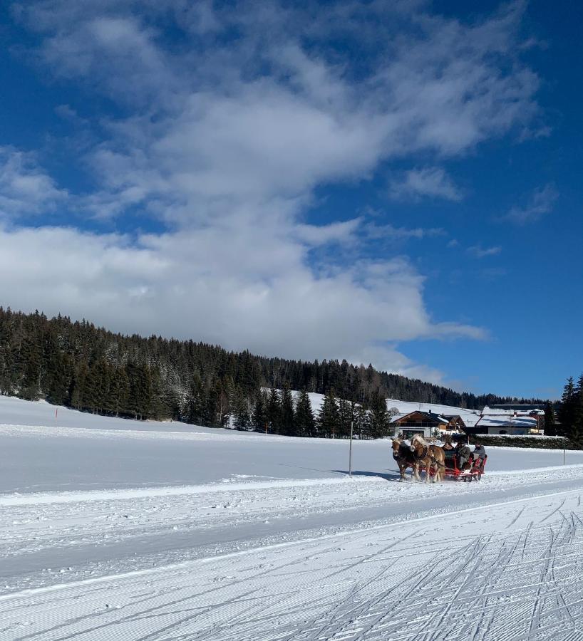 Haus Anna Διαμέρισμα Ramsau am Dachstein Εξωτερικό φωτογραφία
