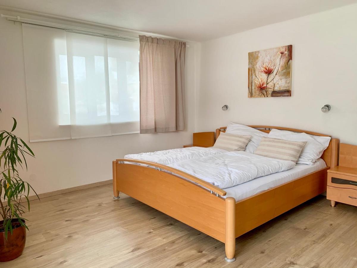 Haus Anna Διαμέρισμα Ramsau am Dachstein Εξωτερικό φωτογραφία