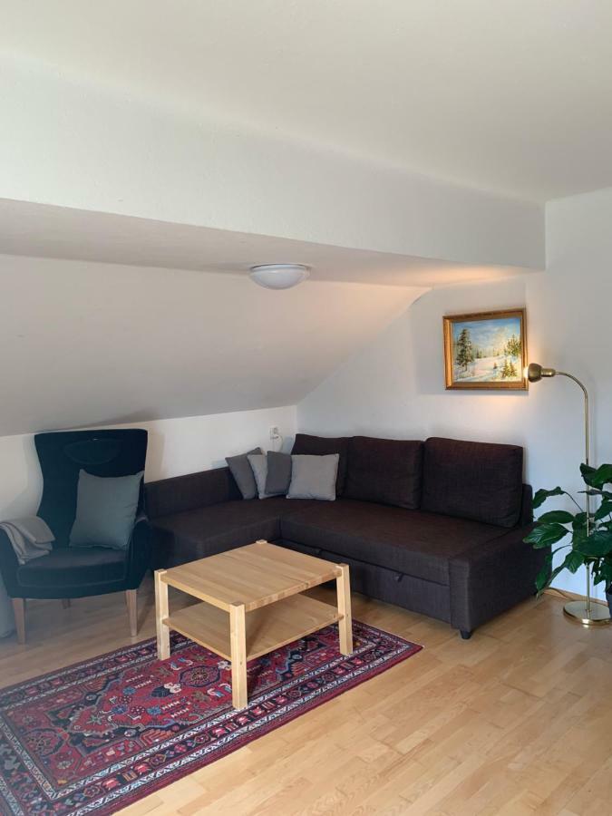 Haus Anna Διαμέρισμα Ramsau am Dachstein Εξωτερικό φωτογραφία
